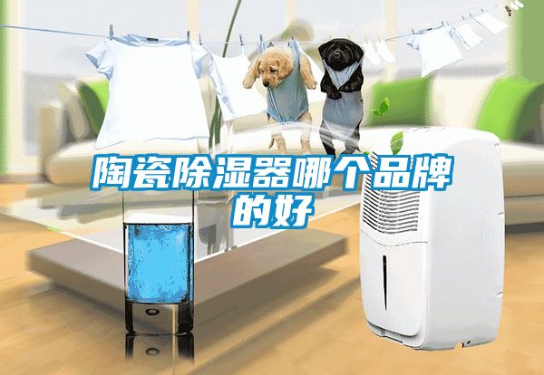 陶瓷除湿器哪个品牌的好