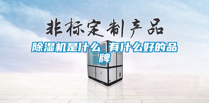 除湿机是什么 有什么好的品牌