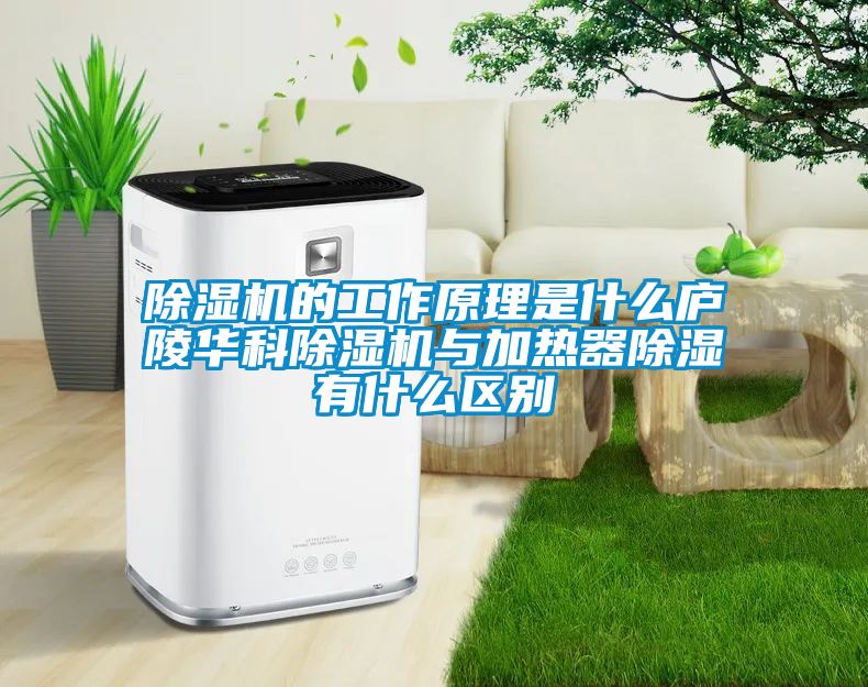 除湿机的工作原理是什么庐陵华科除湿机与加热器除湿有什么区别