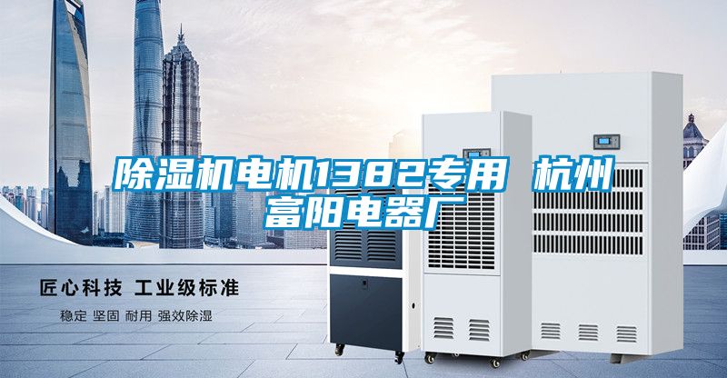 除湿机电机1382专用 杭州富阳电器厂