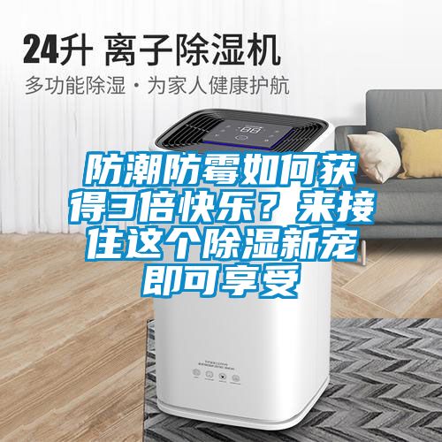 防潮防霉如何获得3倍快乐？来接住这个除湿新宠即可享受