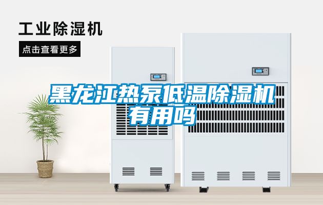 黑龙江热泵低温除湿机有用吗