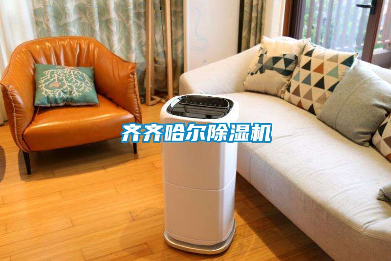 齐齐哈尔除湿机