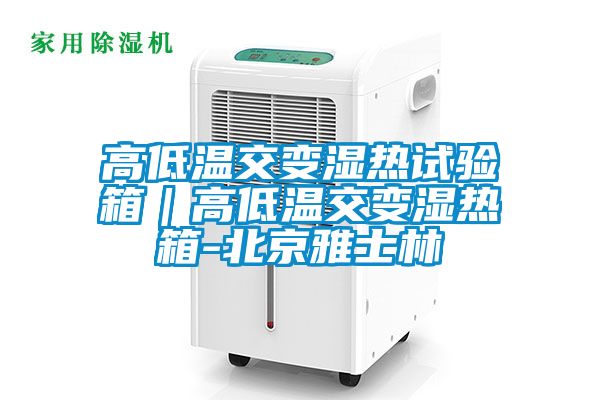 高低温交变湿热试验箱｜高低温交变湿热箱-北京雅士林
