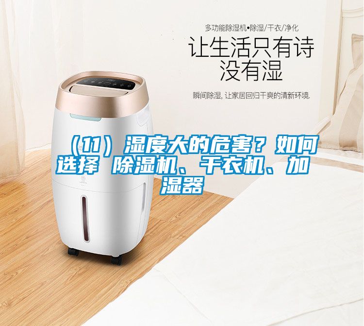 （11）湿度大的危害？如何选择 除湿机、干衣机、加湿器