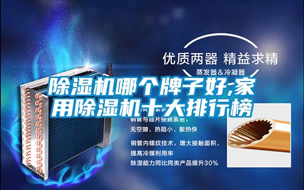 除湿机哪个牌子好,家用除湿机十大排行榜