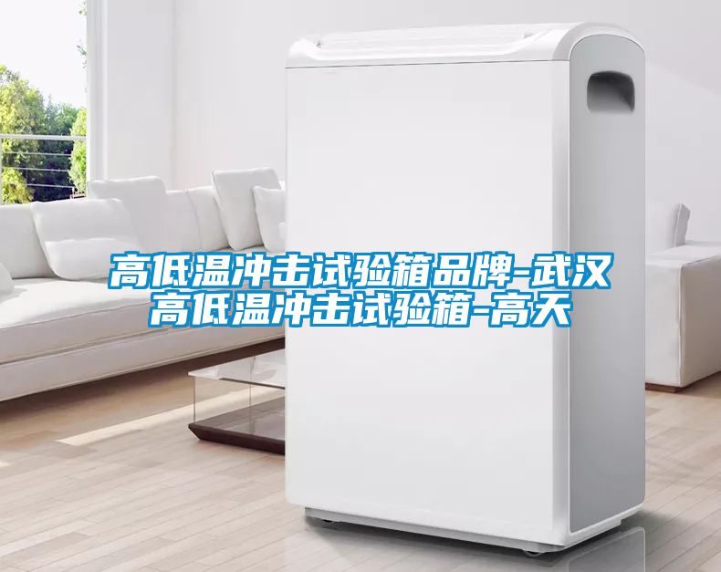 高低温冲击试验箱品牌-武汉高低温冲击试验箱-高天