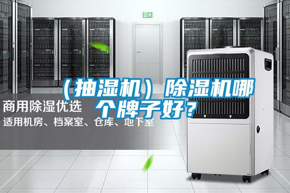 （抽湿机）除湿机哪个牌子好？