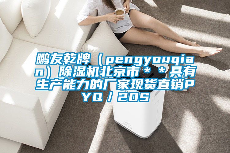鹏友乾牌（pengyouqian）除湿机北京市＊＊具有生产能力的厂家现货直销PYQ／20S
