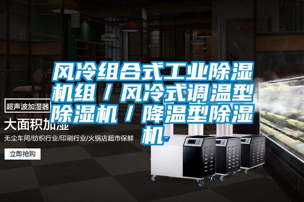 风冷组合式工业除湿机组／风冷式调温型除湿机／降温型除湿机