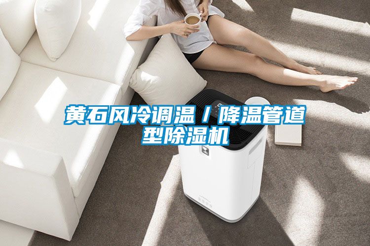 黄石风冷调温／降温管道型除湿机